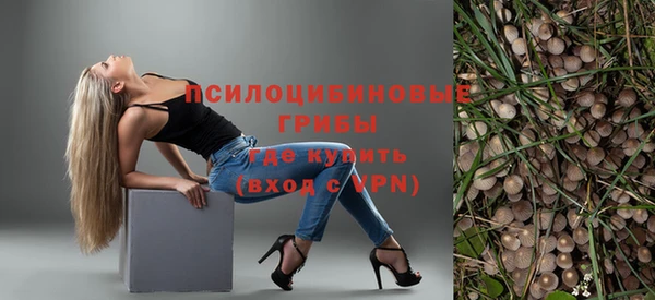 apvp Белокуриха