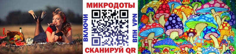 Галлюциногенные грибы прущие грибы  Цоци-Юрт 