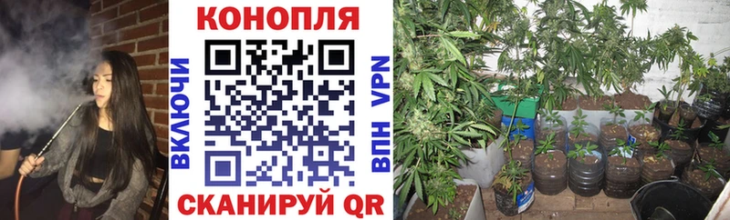 где купить наркоту Цоци-Юрт Марихуана план